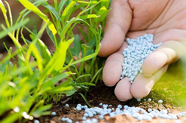 Phân bón hiện là mặt hàng không chịu thuế VAT Phân bón hiện là mặt hàng không chịu thuế VAT