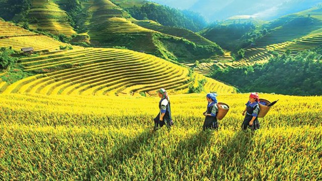 Mục tiêu đến năm 2030, Yên Bái trở thành tỉnh phát triển khá trong vùng trung du và miền núi phía Bắc.