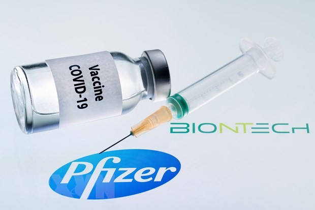 Hình ảnh mô phỏng vắcxin ngừa COVID-19 do hai hãng dược phẩm Pfizer của Mỹ và BioNTech của Đức phối hợp bào chế. (Ảnh: AFP/TTXVN).
