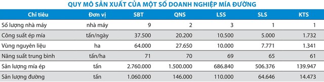 Nguồn: PHS.