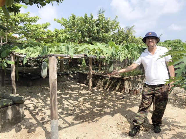 Vườn rau tại đảo Trường Sa Đông.