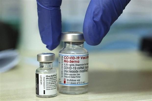Vaccine ngừa COVID-19 của Pfizer-BioNTech và Moderna. (Ảnh: AFP/TTXVN).
