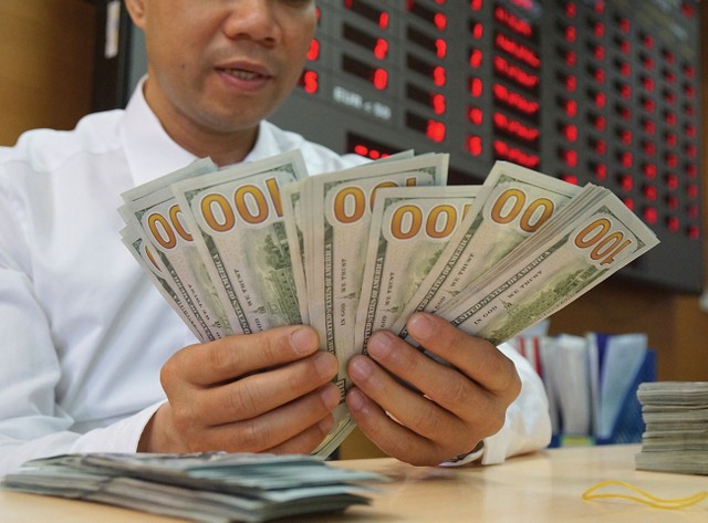 Tỷ giá không chịu áp lực tăng trong năm 2019 ảnh 2