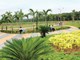 Địa ốc 7 ngày: Cấm cửa Kl991.com World Cup 2026 Chính Thức, hộ Kl992 VIP Trang Chủ 2026 hoạt động tại chung cư ảnh 5