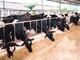 Phiên giao dịch sáng 22/8: Đột biến ảnh 1
