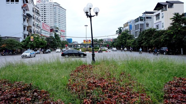 Dừng chi tiền tỷ, cỏ mọc um tùm khắp nẻo đường Thủ đô ảnh 2 Cắt cỏ, chăm sóc cây cảnh, đường đẹp nhất, Hà Nội, Thủ đô, mọc um tùm