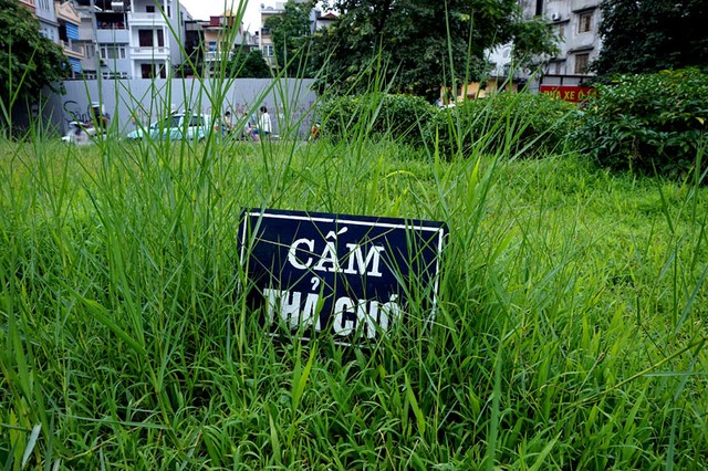 Dừng chi tiền tỷ, cỏ mọc um tùm khắp nẻo đường Thủ đô ảnh 3 Cắt cỏ, chăm sóc cây cảnh, đường đẹp nhất, Hà Nội, Thủ đô, mọc um tùm