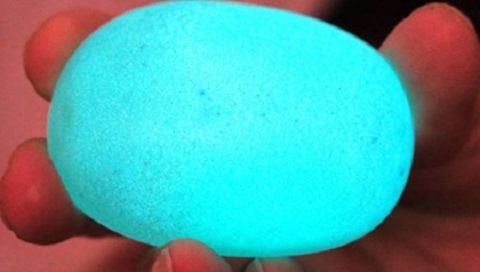 hòn đá tiền tỷ, hòn đá, nhặt được hòn đá, hòn đá muối dưa, ngọc bích, đá quý, long diêm vương, ngọc trai, đá phát sáng, đá có mùi thơm