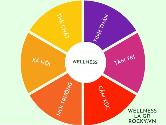 6 yếu tố chính của mô hình wellness
