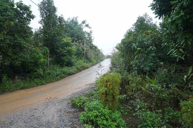 Chuyển đổi mục đích sử dụng đất luôn là bài toán khó của các địa phương có nhiều rừng. Ảnh: Mỹ An