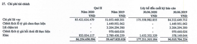 Điện Gia Lai (GEG), quý II/2020 hoàn thành được 44,6% kế hoạch Kl99 nổ hũ trước thuế năm 2020 ảnh 1