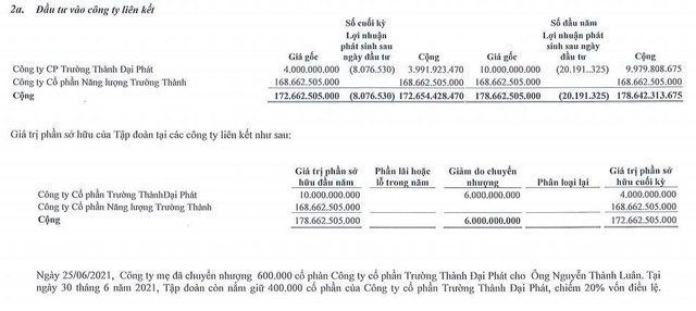 Khoản mục Kl99ok phiên bản mới vào công ty liên kết của TEG tính tới 30/6/2021