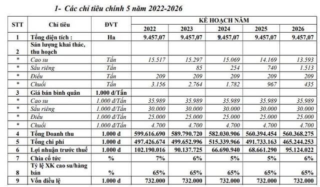 Kế hoạch Kl992 VIP Trang Chủ 2026 của DRI từ 2022 đến 2026.