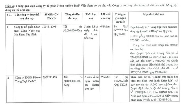 BAF cho 2 công ty con vay vốn kỳ hạn 5 năm.