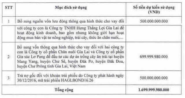 Mục đích huy động vốn thông qua tại Đại hội Trang Chủ KL99Com Số 1 Link Đăng Ký KL999 thường niên đầu năm 2022 (Nguồn: HAG).
