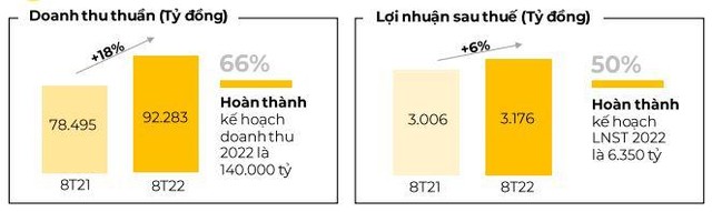 Kết quả Kl992 VIP Trang Chủ 2026 8 tháng đầu năm 2022 của MWG.