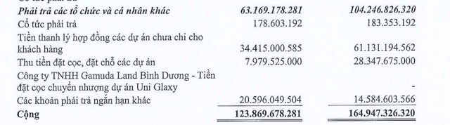 Cơ cấu phải trả tổ chức và cá nhân khác tới 30/9/2022