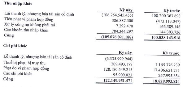 Cơ cấu thu nhập và chi phí khác trong nửa đầu năm 2023 của TDC