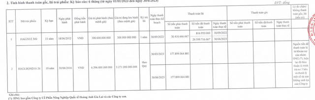 HAG chưa trả lãi 2 kỳ liên tiếp cho trái chủ trong nửa đầu năm 2023 (Nguồn: HAG)