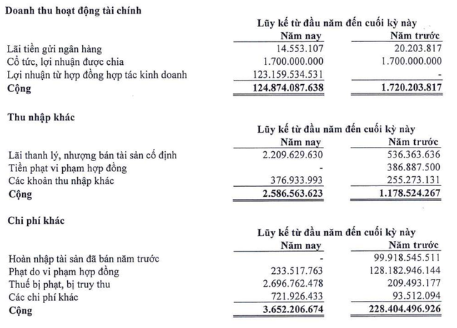 Cơ cấu doanh thu Kl991.com nạp rút nhanh và lãi thu nhập khác trong nửa đầu năm 2024