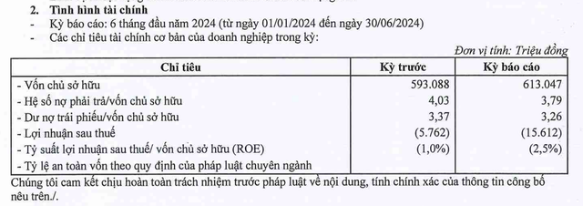Công ty TNHH Nam Rạch Chiếc lỗ trong nửa đầu năm 2024