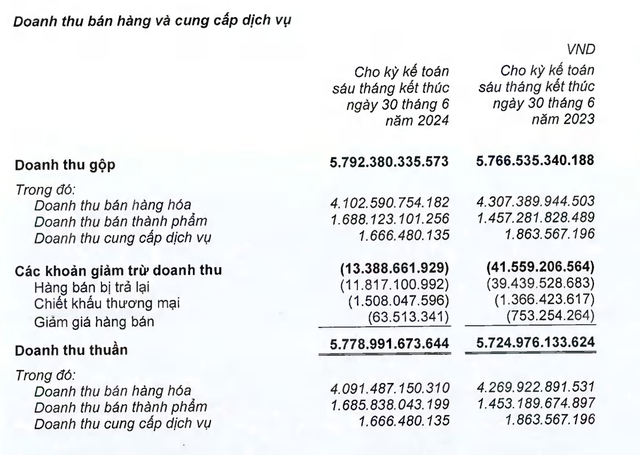 Cơ cấu doanh thu của Asia Group trong nửa đầu năm 2024