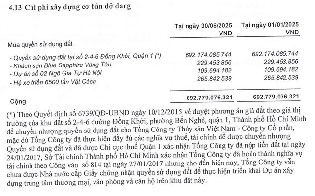 Dự án 2-4-6 Đồng Khởi của Seaprodex là dự án trọng điểm mà Công ty đang sở hữu.