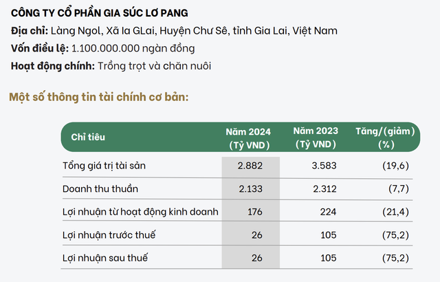 Tình hình Kl992 VIP Trang Chủ 2026 của Gia Súc Lơ Pang năm 2024.