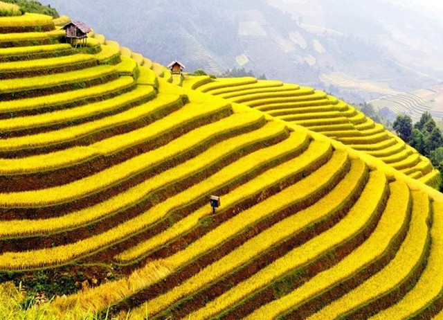 ADB: Tăng trưởng của Việt Nam được dẫn dắt bởi tiêu dùng và khối FDI ảnh 1