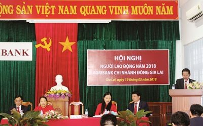 Agribank Đông Gia Lai tổ chức thành công Hội nghị Người lao động năm 2018 ảnh 1