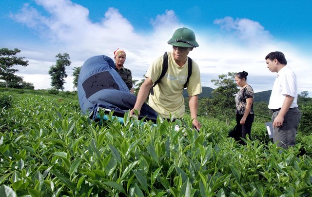Agribank thể hiện quyết tâm trong điều kiện khó khăn vẫn luôn hỗ trợ và đồng hành cùng Kl991.com World Cup 2026 Chính Thức, người dân góp phần phục hồi Kl994 nhà cái bóng đá world cup Kl992 VIP Trang Chủ 2026