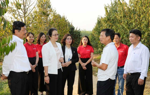Agribank chào bán Kl99kl Hoàn Trả Vô Tận ra công chúng năm 2022 là sử dụng để tăng vốn cấp 2, tạo thêm nguồn vốn dài hạn đáp ứng nhu cầu vay vốn của các khách hàng cá nhân và tổ chức... như hộ nông dân Bùi Văn Quyển, xã Ya Ly, huyện Sa Thầy, tỉnh Kon Tum.