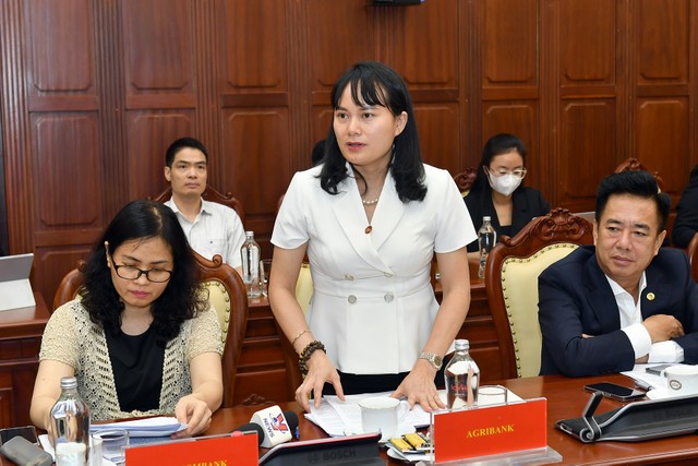 Bà Phùng Thị Bình, Phó tổng giám đốc Agribank