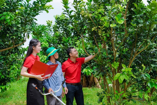 Một mô hình Kl994 nhà cái bóng đá world cup nông nghiệp hữu cơ từ nguồn vốn Kl99ok phiên bản mới của Agribank