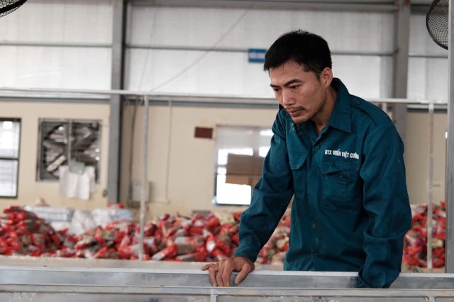 Anh Nguyễn Văn Ba, Giám đốc Hợp tác xã Việt Cường vẫn còn bần thần về những gì đang xảy ra