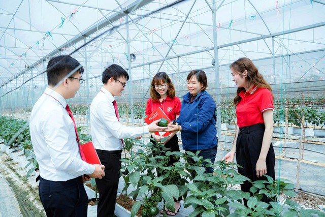 Agribank chủ động dịch chuyển Kl993 nền tảng giải trí từ các lĩnh vực “nâu” sang “xanh”, tập trung cho các dự án năng lượng tái tạo, lâm nghiệp bền vững và nông nghiệp sạch