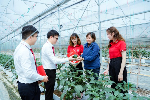 Các chương trình tín dụng ưu đãi cho các dự án nông nghiệp quy mô lớn, dự án xanh vẫn được tiếp tục triển khai với cơ chế riêng biệt