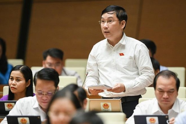 Đại biểu Lê Hoàng Anh (đoàn Gia Lai)