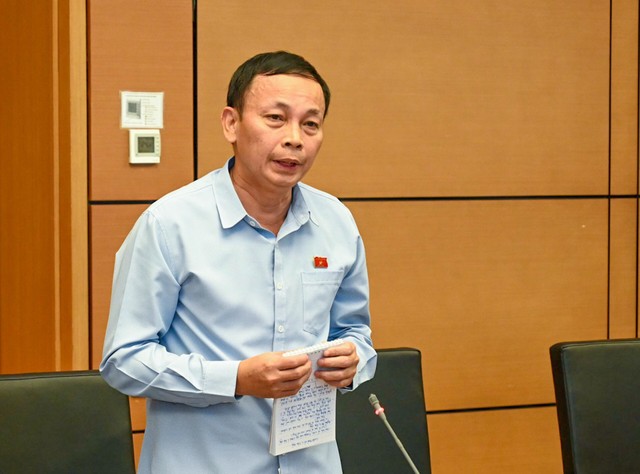 Đại biểu Hoàng Hữu Chiến (đoàn An Giang)