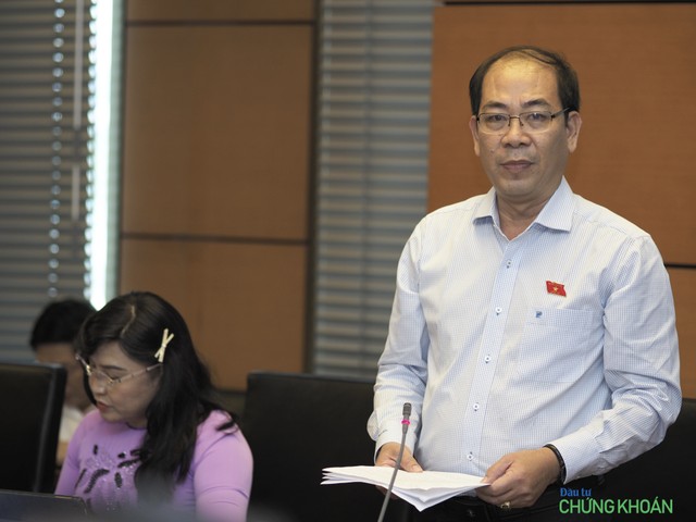 Đại biểu Nguyễn Việt Thắng (đoàn Kiên Giang)