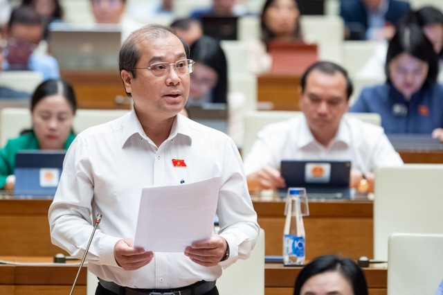 Đại biểu Trình Lam Sinh (đoàn An Giang)
