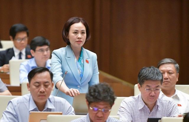Đại biểu Trần Thị Hồng Thanh (đoàn Ninh Bình)