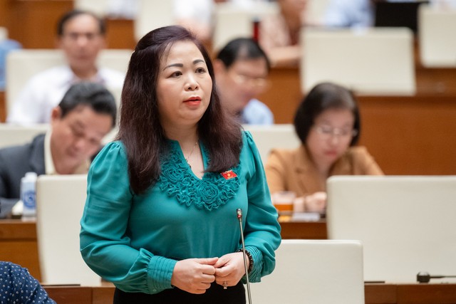 Đại biểu Vũ Thị Lưu Mai (Đoàn TP. Hà Nội)