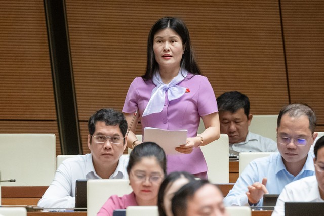 Đại biểu Bùi Thị Quỳnh Thơ (đoàn Hà Tĩnh)