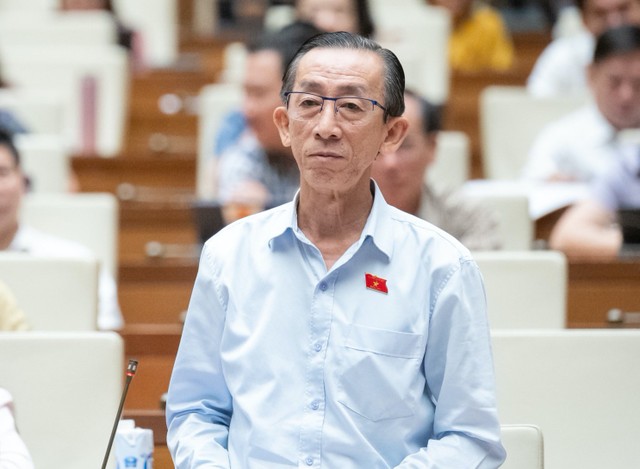 ĐBQH Trần Hoàng Ngân phát biểu về Chương trình giám sát sáng 30/5