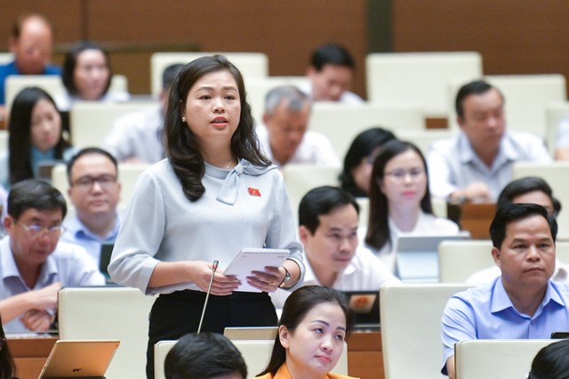 Đại biểu Đoàn Thị Lê An (đoàn Cao Bằng)