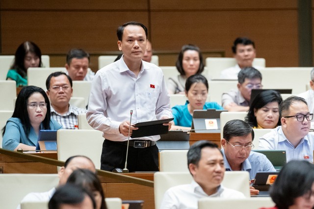 Đại biểu Lưu Bá Mạc (đoàn Lạng Sơn)