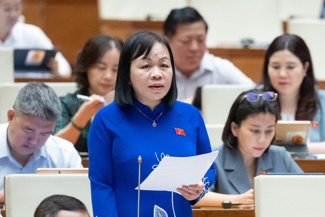 Đại biểu Nguyễn Thị Mai Hoa (đoàn Đồng Tháp)