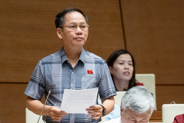 Đại biểu Trần Đình Gia (đoàn Hà Tĩnh)