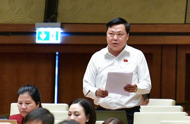 Đại biểu Phạm Hùng Thắng (đoàn Hà Nam)